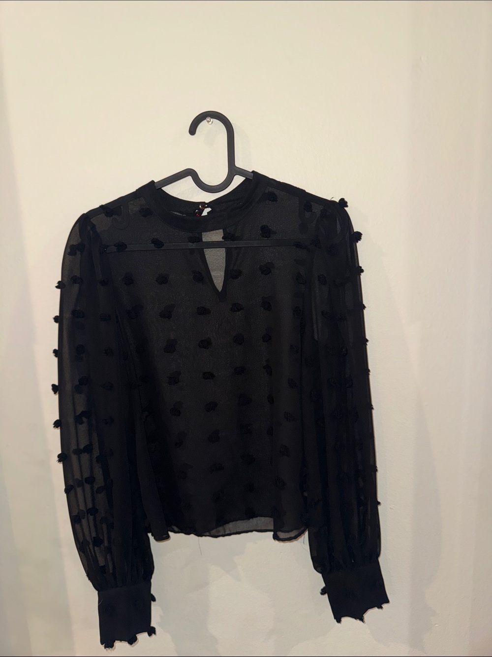Zara Black Sheer Polka-Dot Long Sleeve Blouse